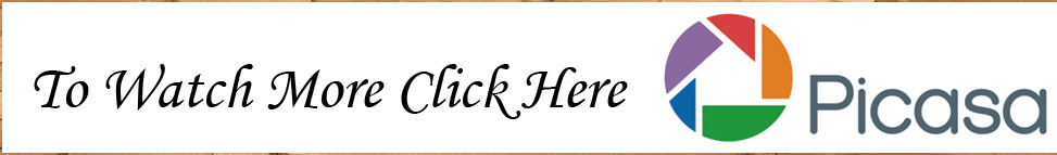 Picasa